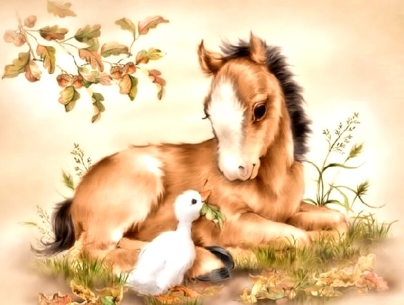 Foal with Duckling