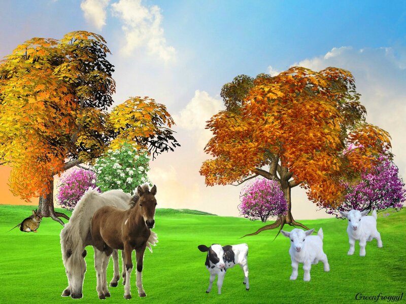 Foals and Goat Kids