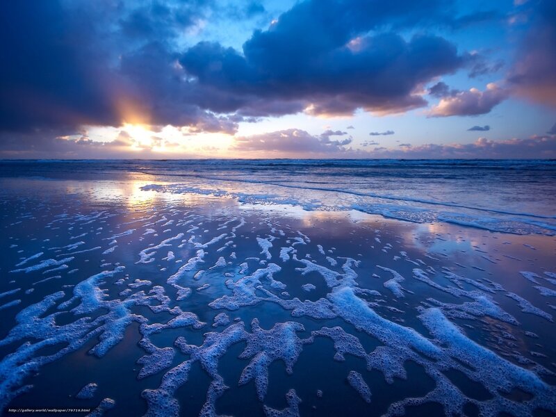 Foamy Beach at Sunset