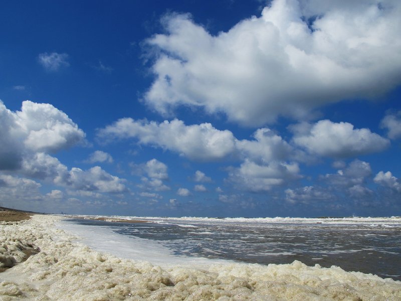 Foamy Beach Shoreline