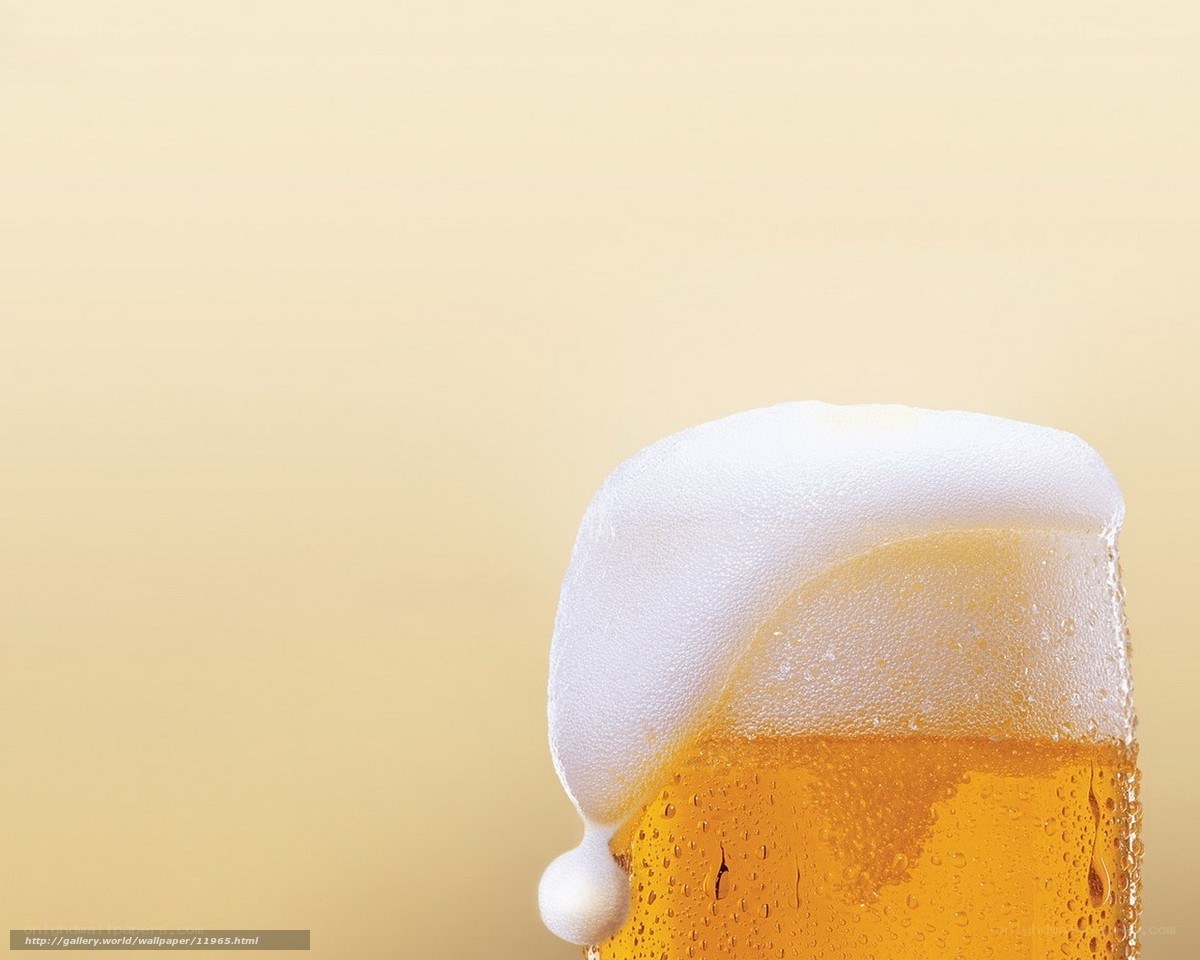 foamy beer in a glass