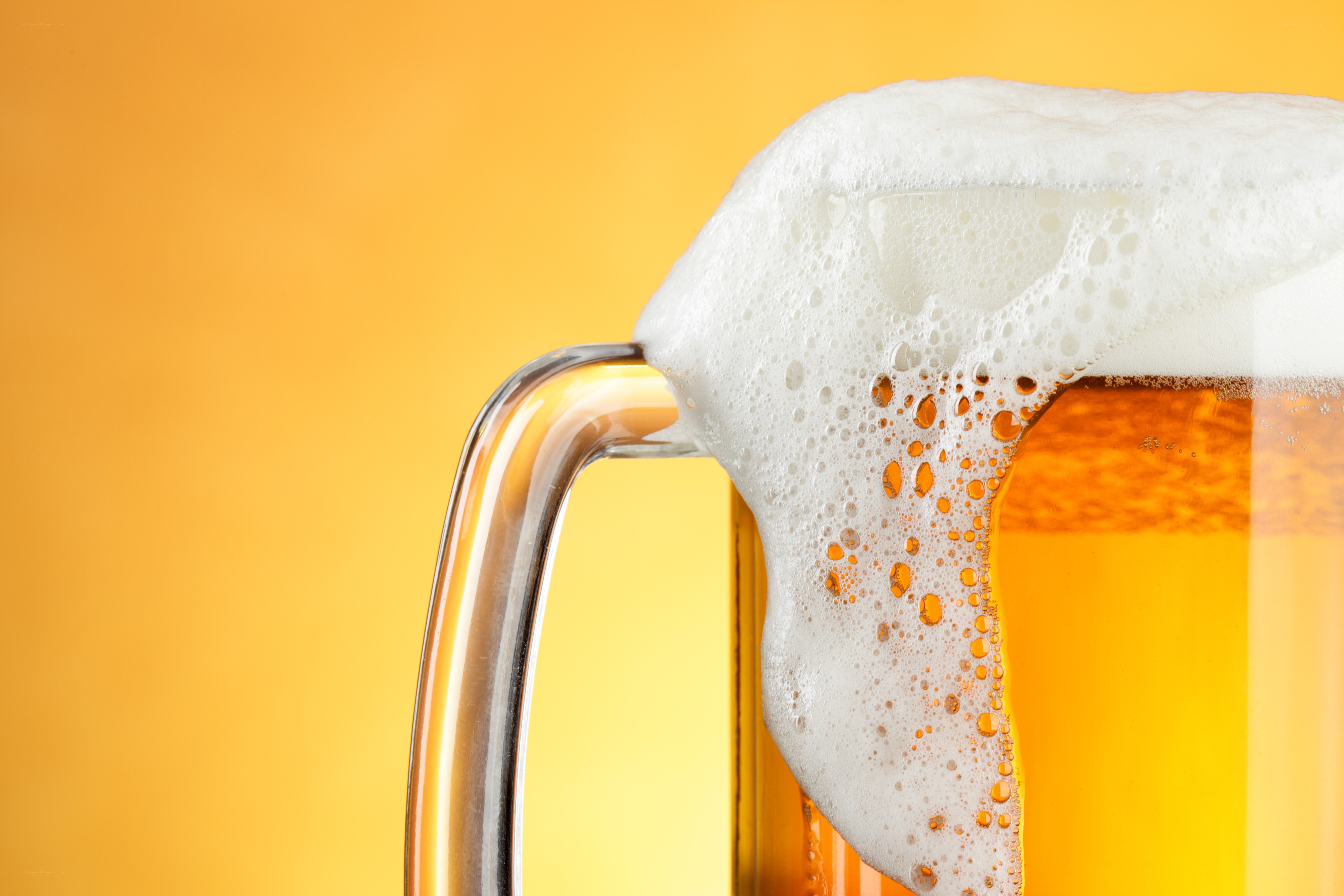 foamy beer in a mug
