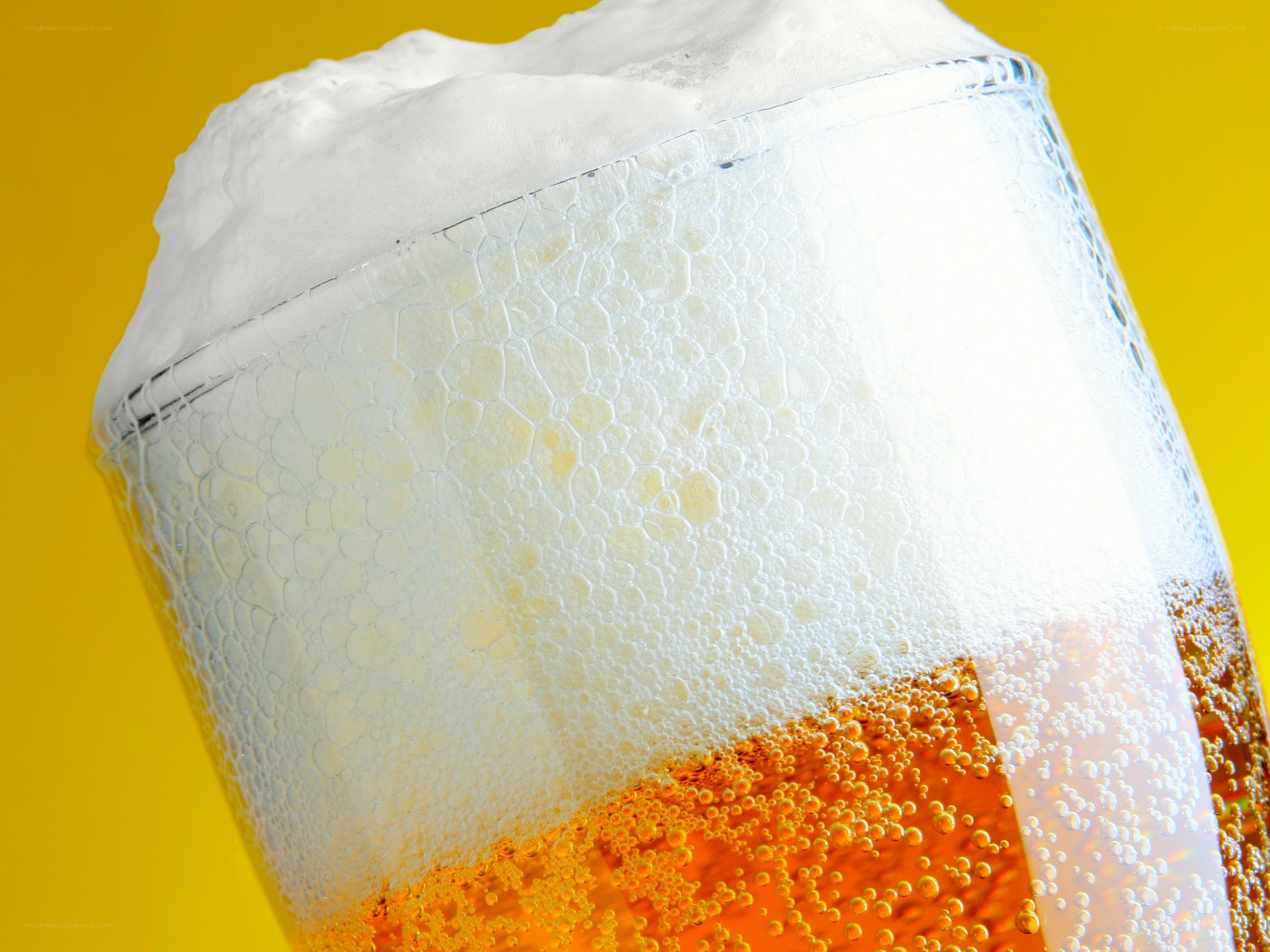 foamy beer in glass
