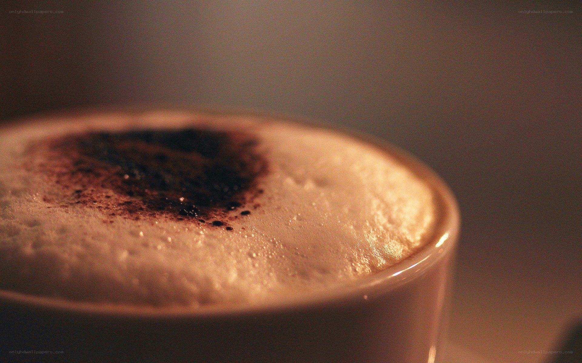 foamy coffee with cocoa dust