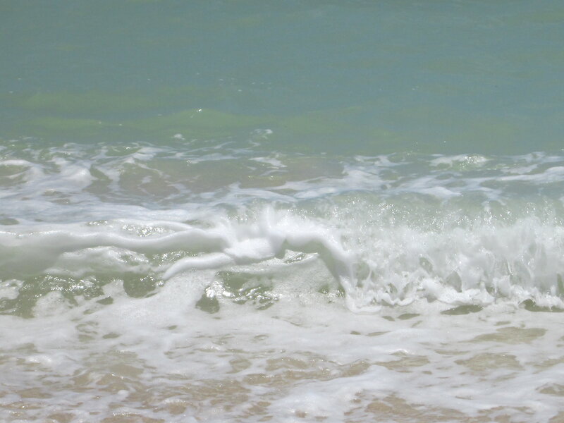 Foamy Ocean Wave