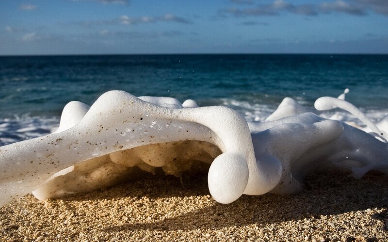 Foamy Sea Foam on Sand — White