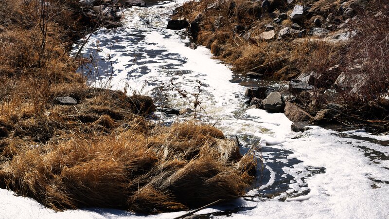 Foamy Stream in Winter