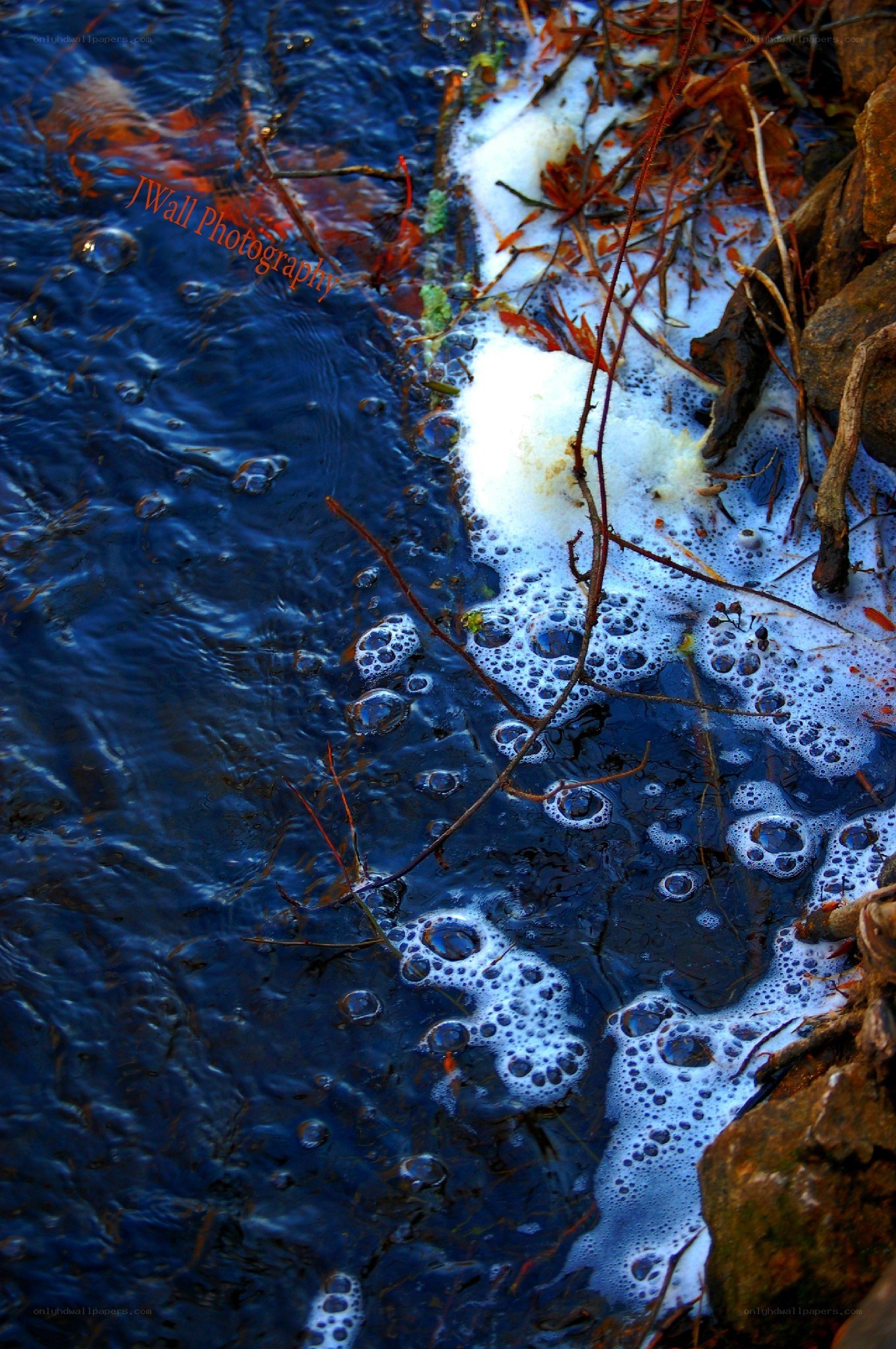 foamy stream with twigs