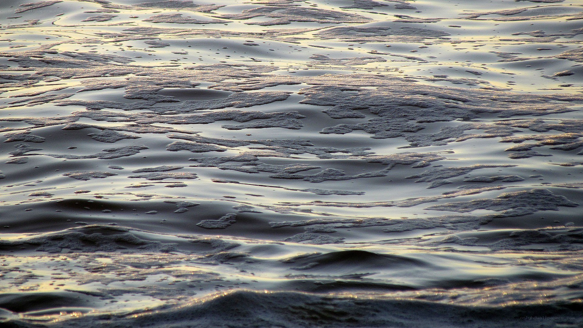 foamy water surface at sunset