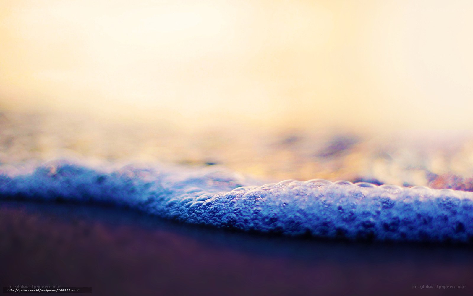 foamy wave at sunset
