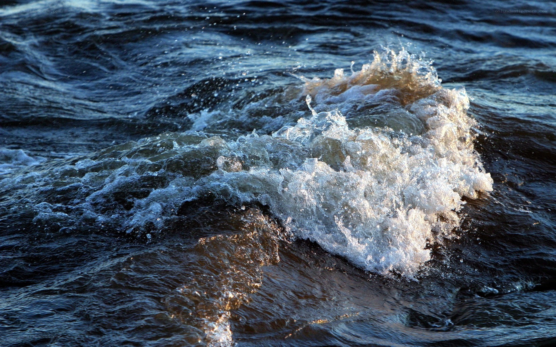 foamy wave cresting in sunlight