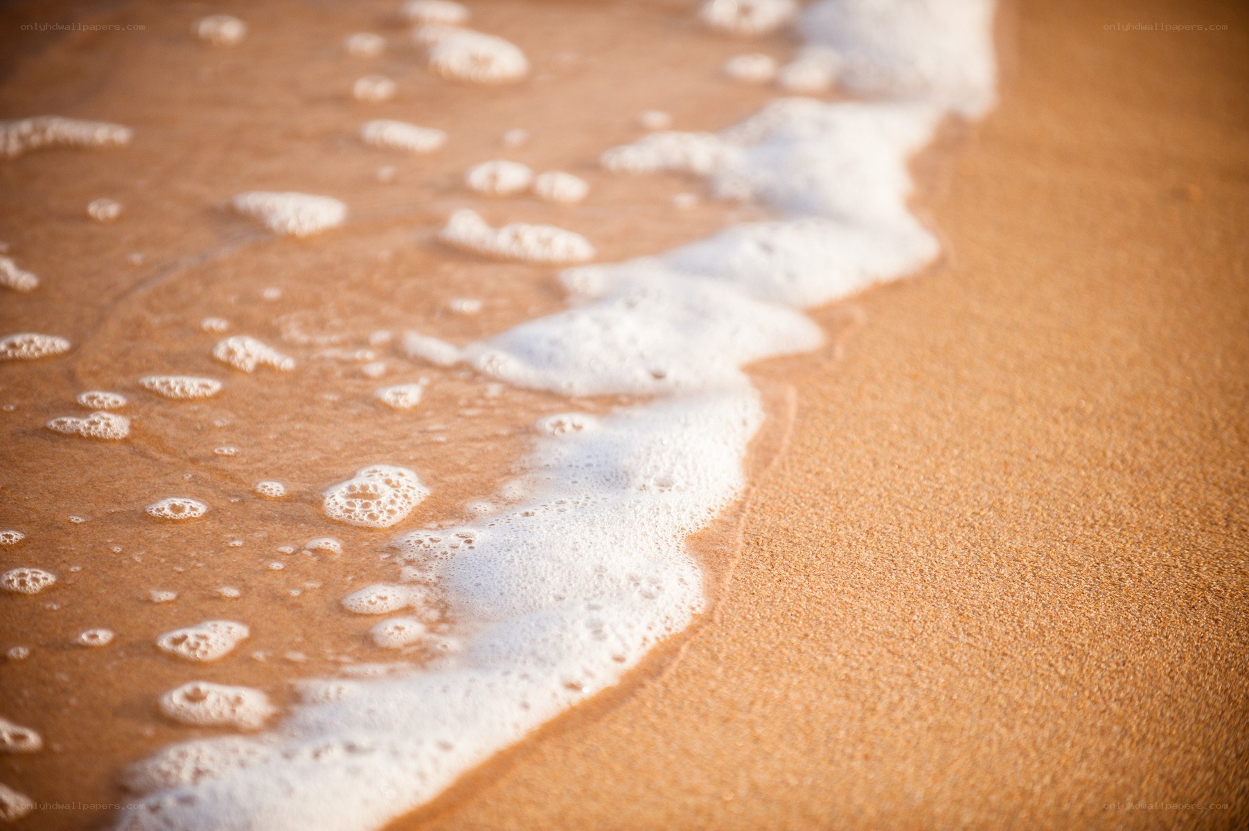 foamy wave on sandy beach