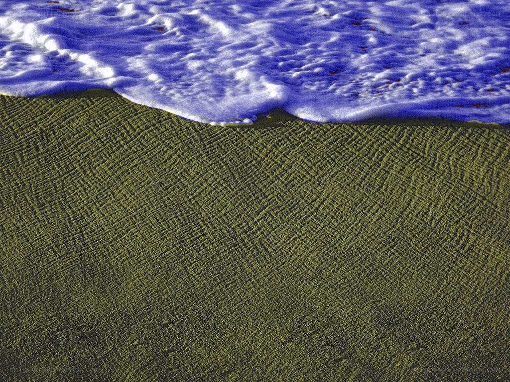 foamy wave on sandy beach