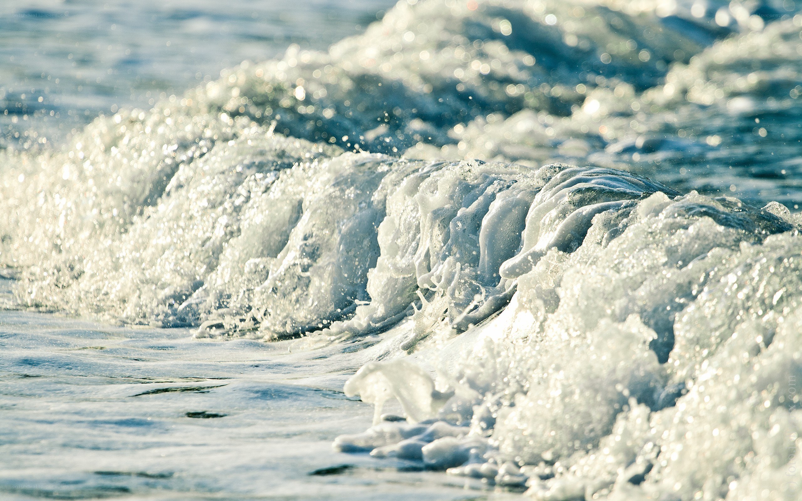 Foamy waves at the shore