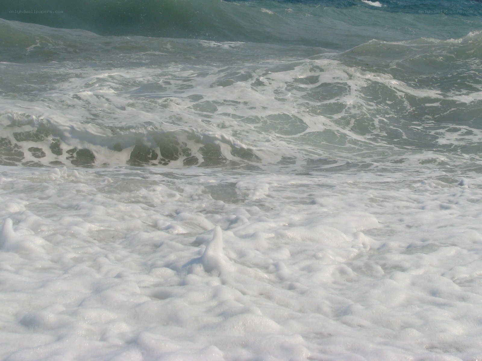 Foamy waves at the shore