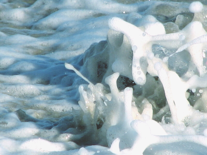 foamy waves at the shore