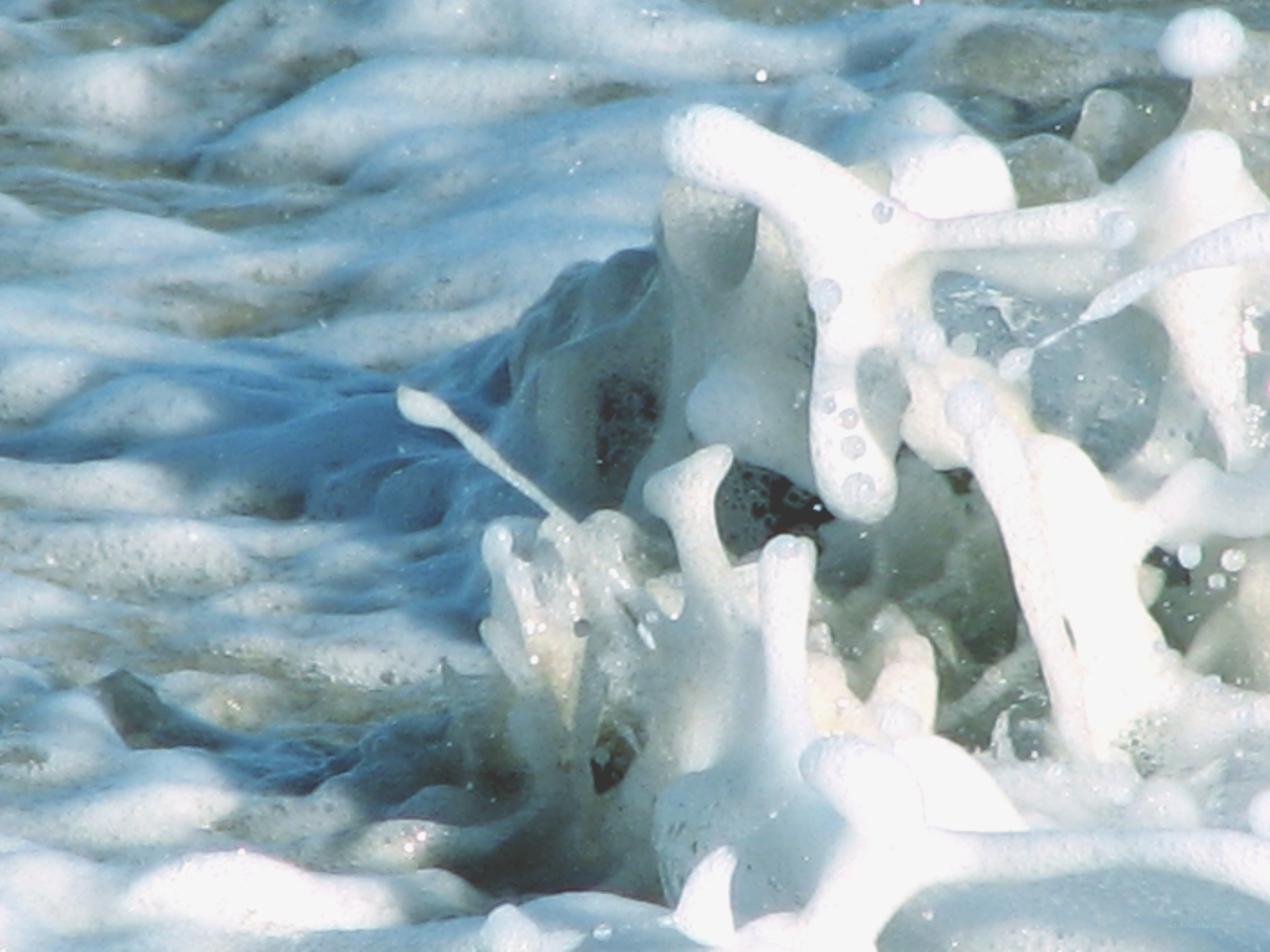 foamy waves at the shore