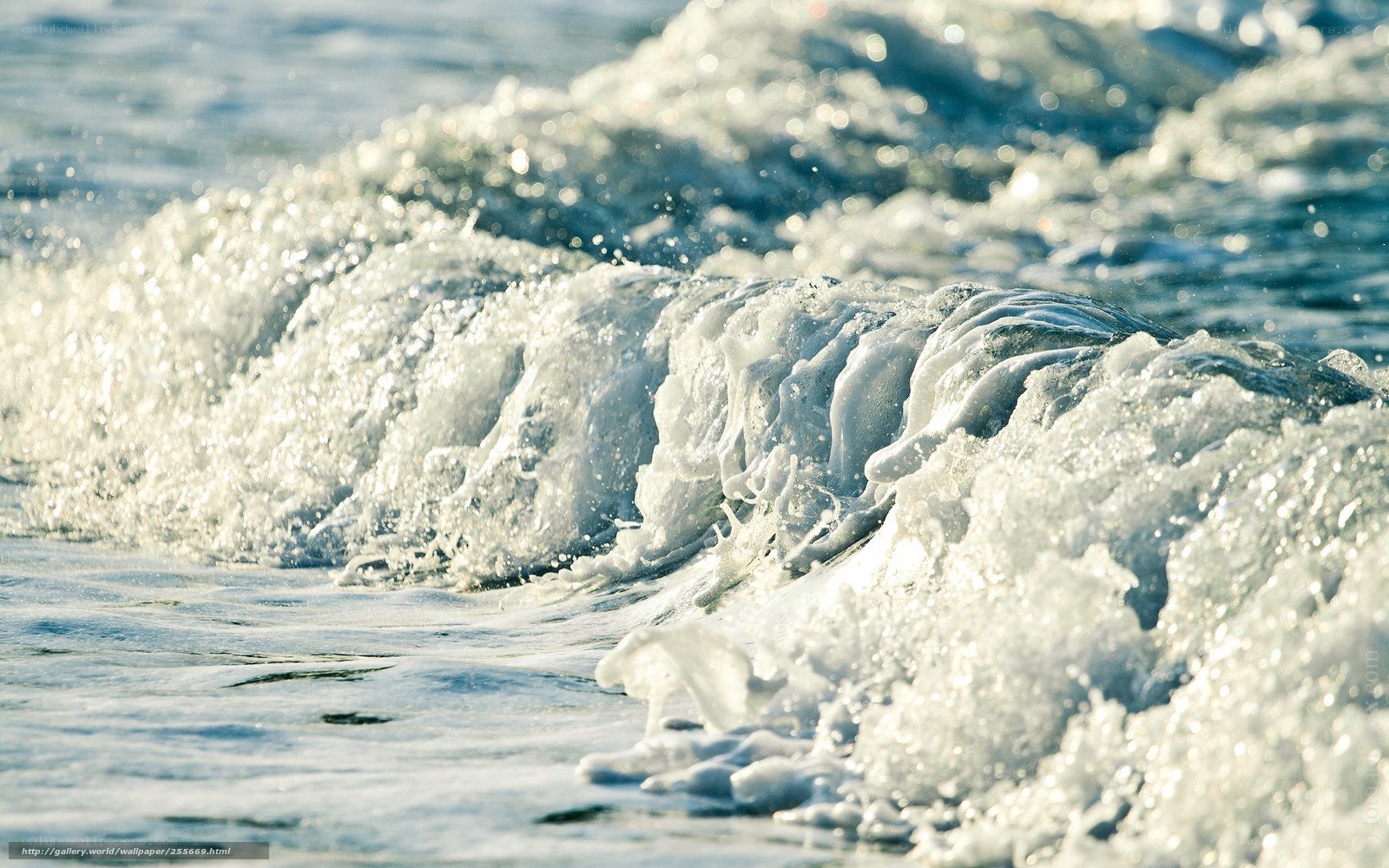 Foamy waves at the shore