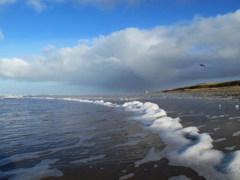 Foamy Waves on Beach — Blue, Serene