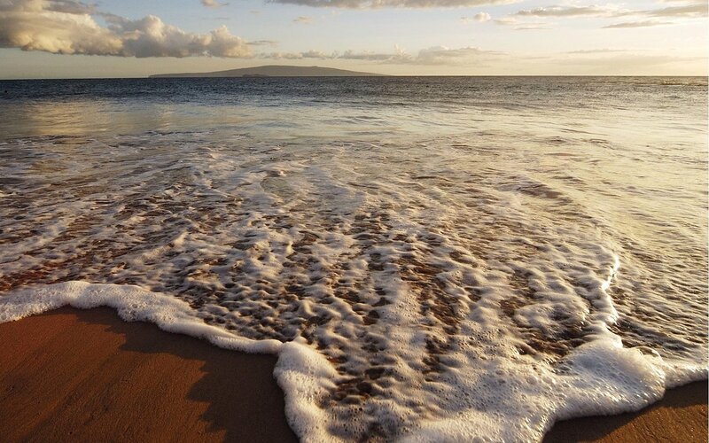 Foamy Waves on Beach — Brown, Serene