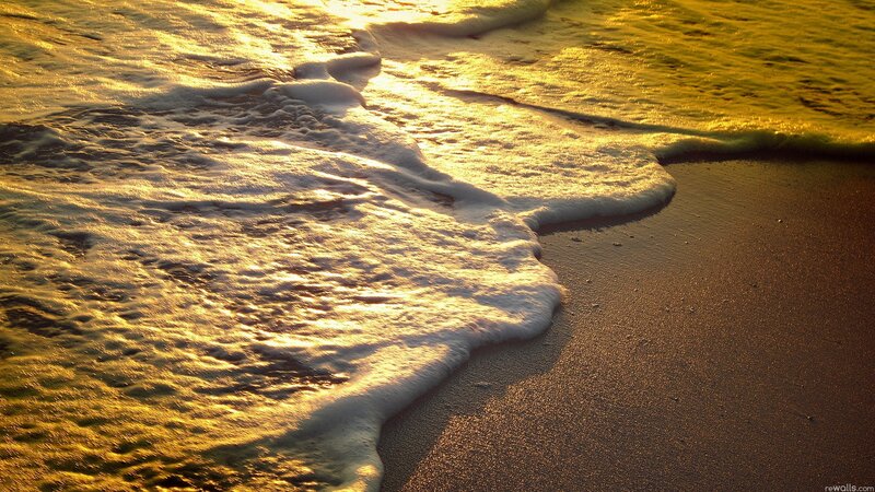 Foamy Waves on Beach — Gold, Serene, Sunset, Photograph, Sand, Ocean