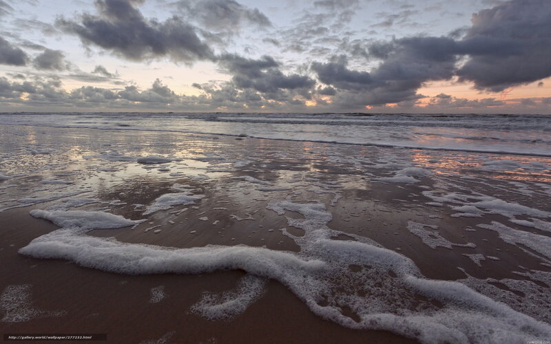 Foamy Waves on Beach — Gray