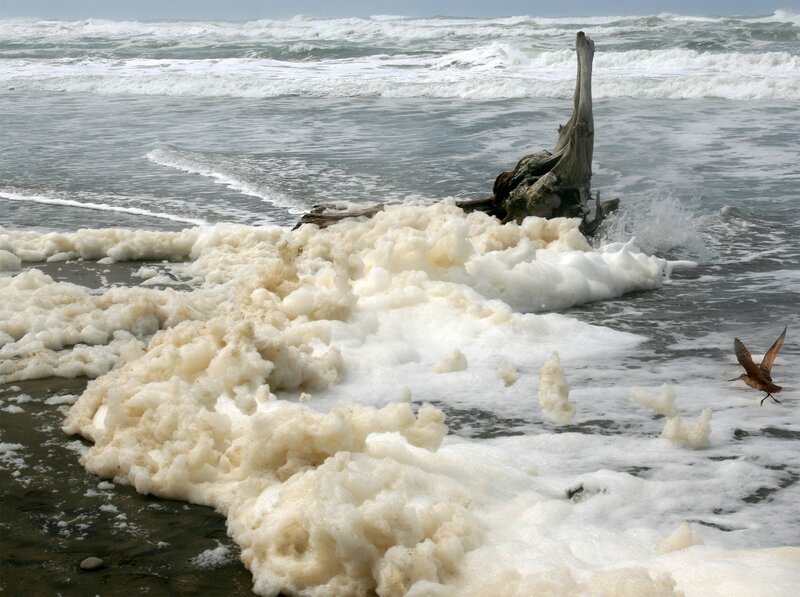 Foamy Waves on Beach — White, Dramatic