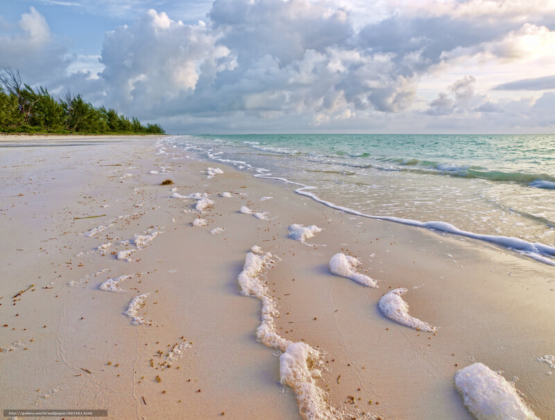 Foamy Waves on Beach — White, Serene, Afternoon