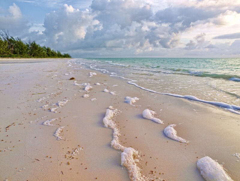 Foamy Waves on Beach — White, Serene