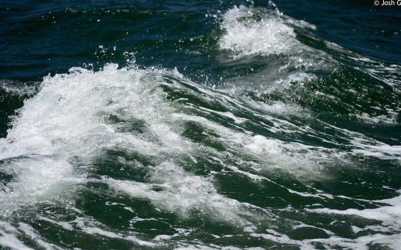 foamy waves on dark water