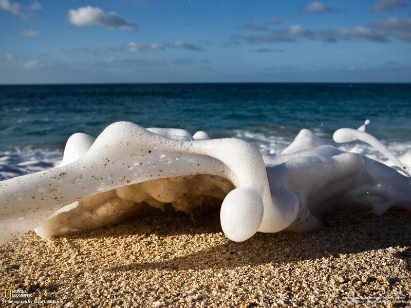 Foamy Waves on Sand — Blue, Serene