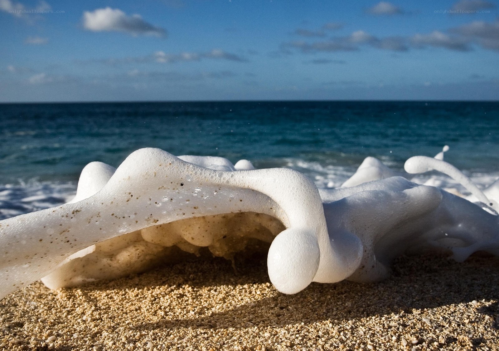 Foamy waves on sandy beach