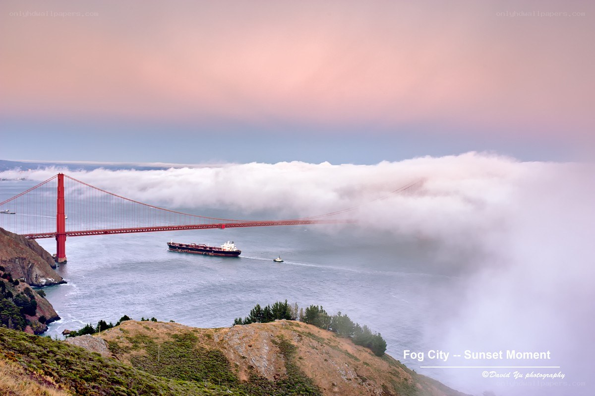 Fog City Sunset Moment