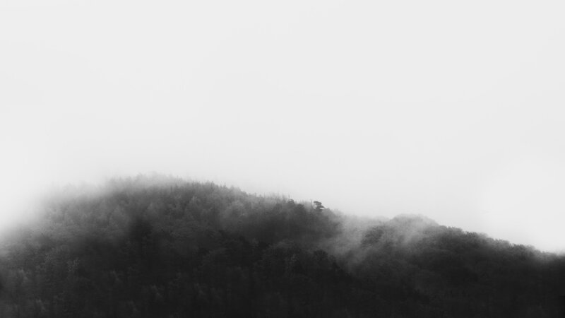 Fog-covered Forest Hill