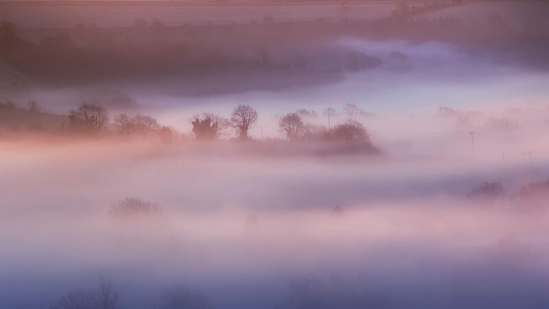 Fog-covered Hills and Trees
