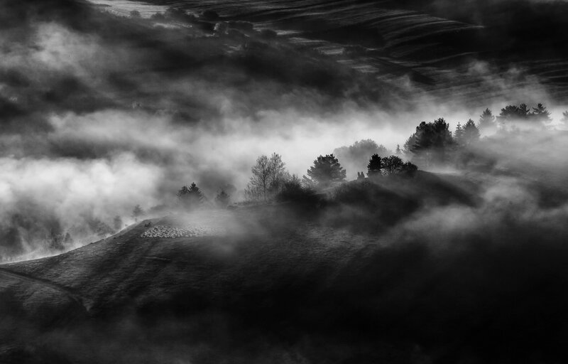 Fog-covered Hills with Trees