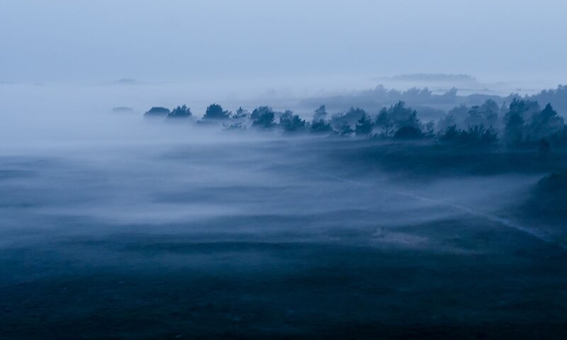 Fog-covered Landscape