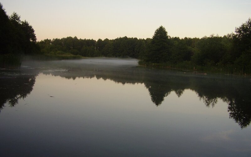 Fog over a calm lake