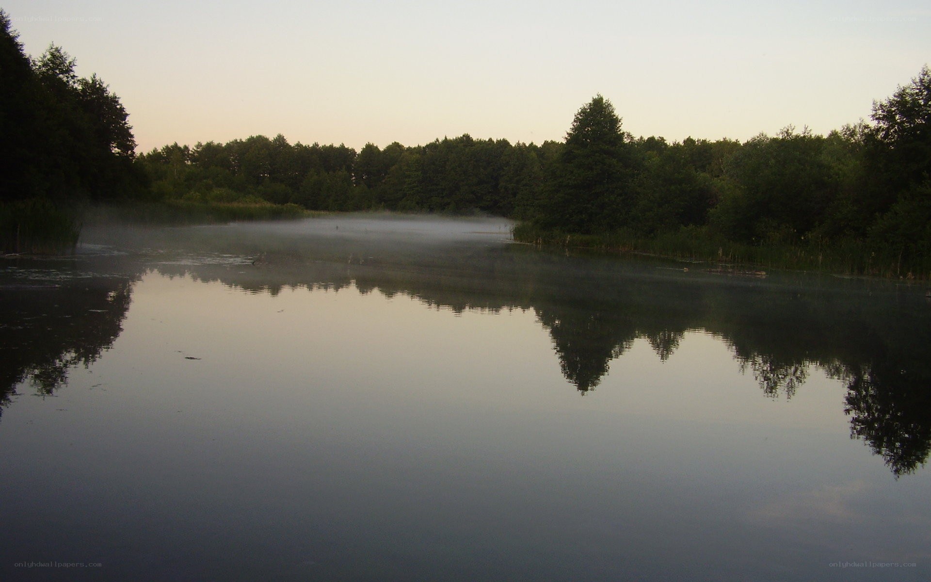 Fog over a calm lake