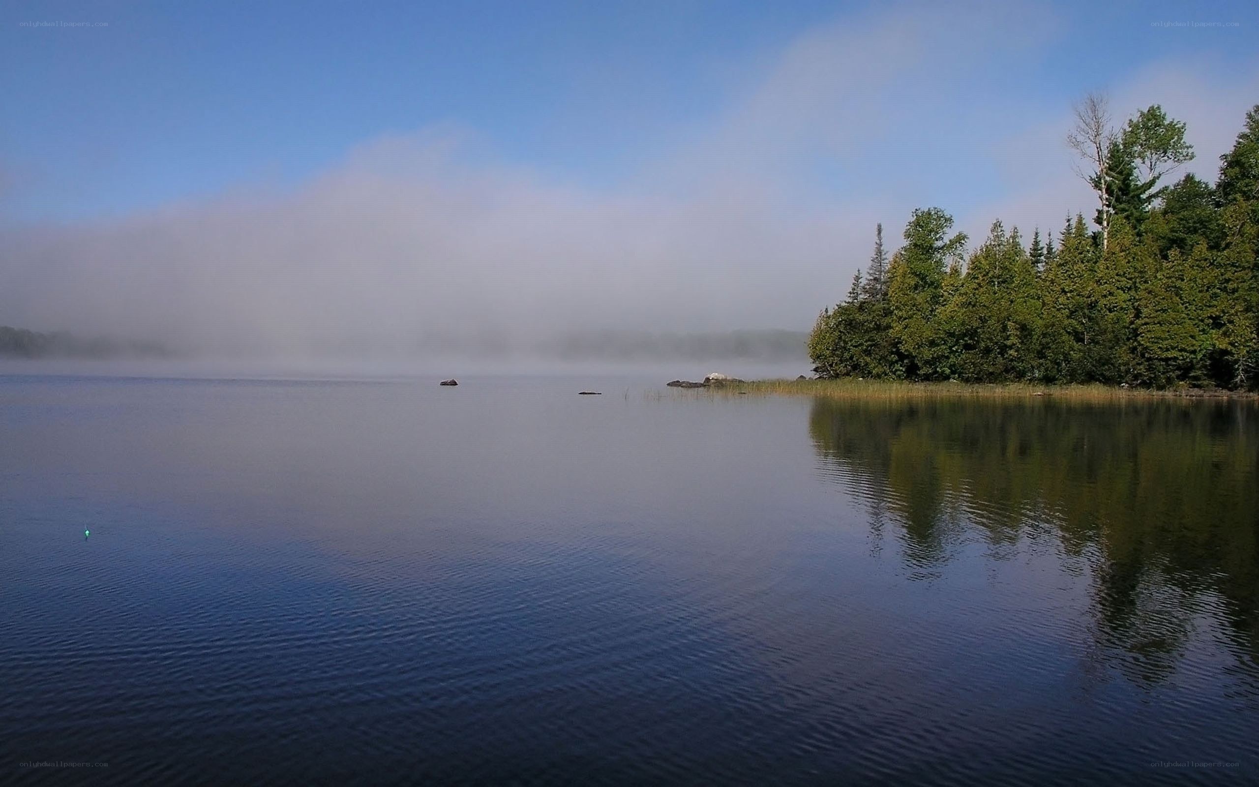 Fog over a calm lake
