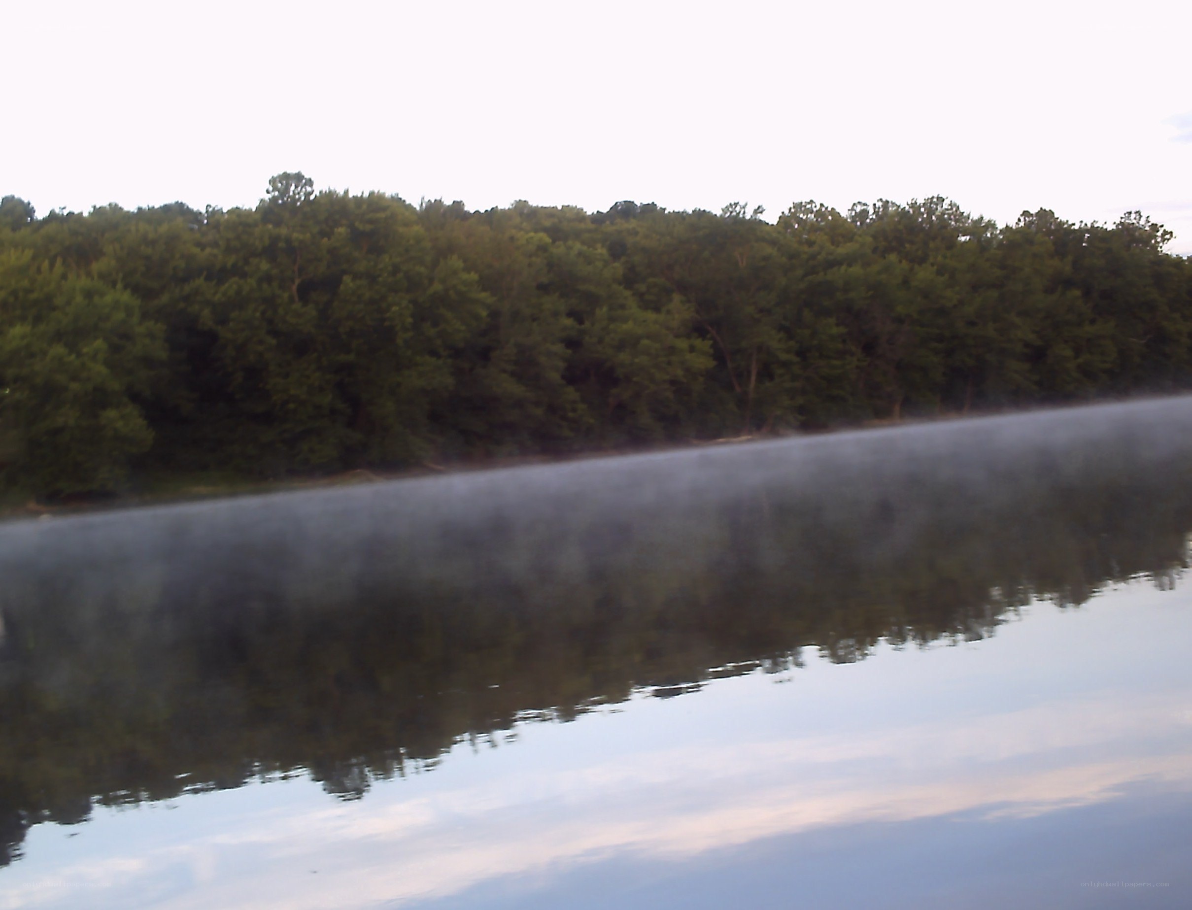 fog over a calm lake