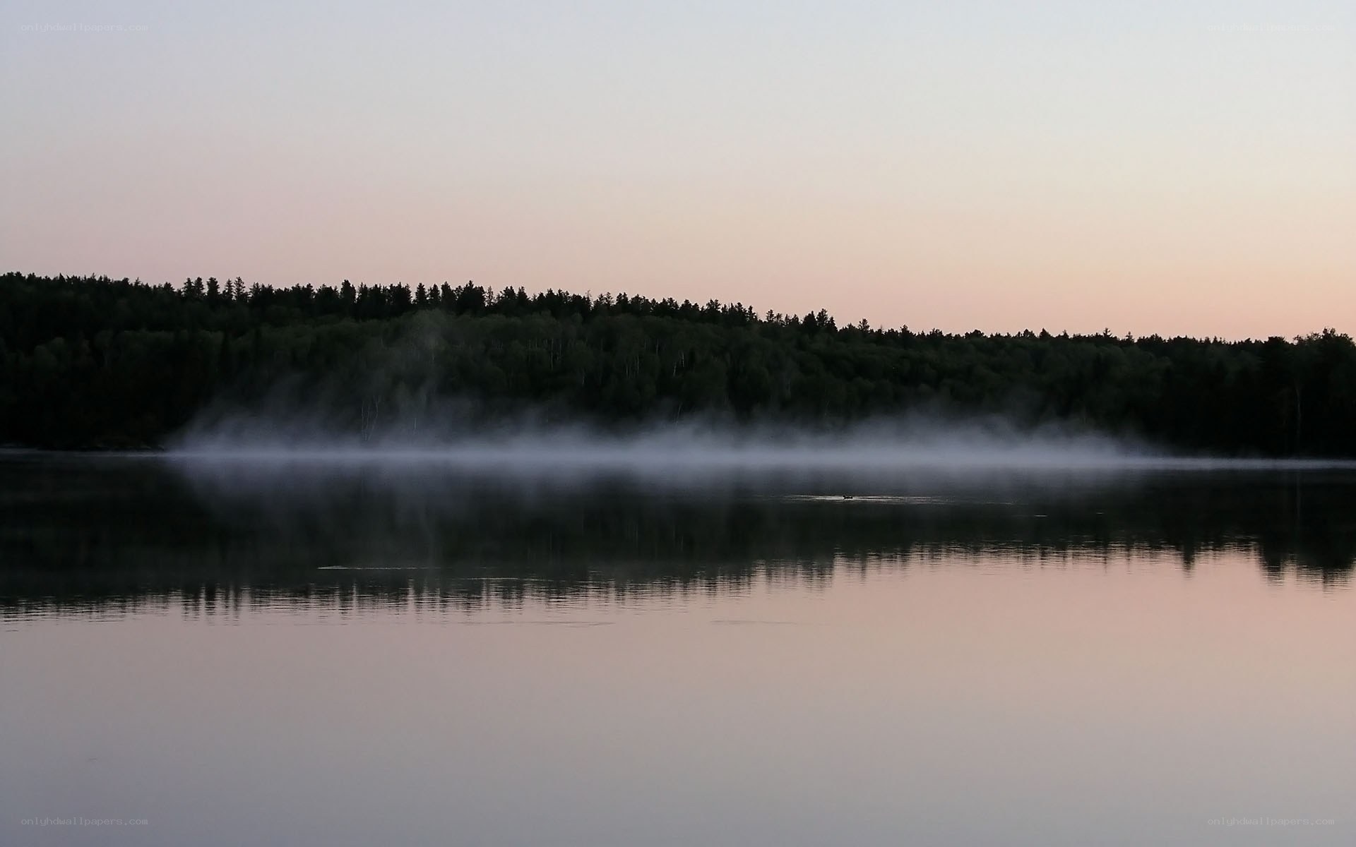 Fog over a calm lake at dawn