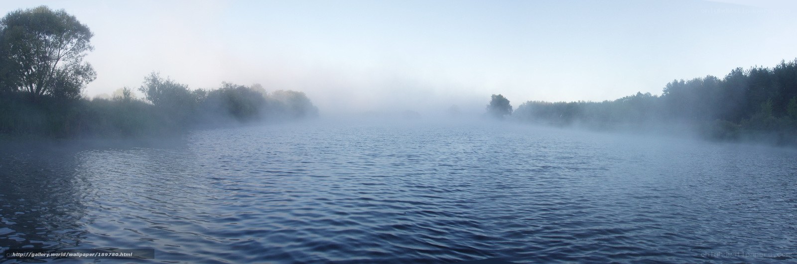 Fog over a calm lake
