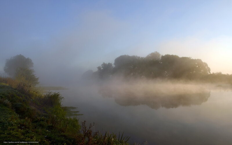 Fog over a calm river