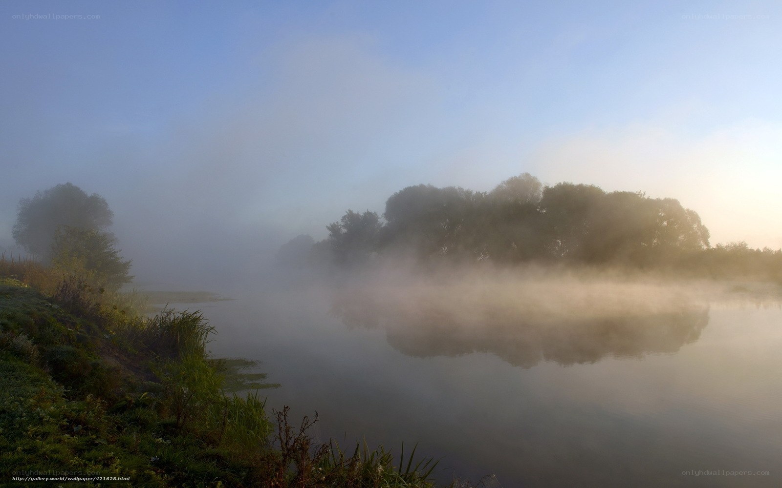 Fog over a calm river