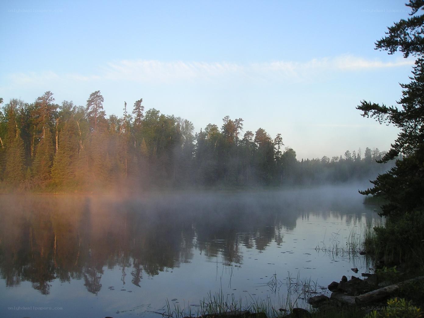 Fog over a forest lake