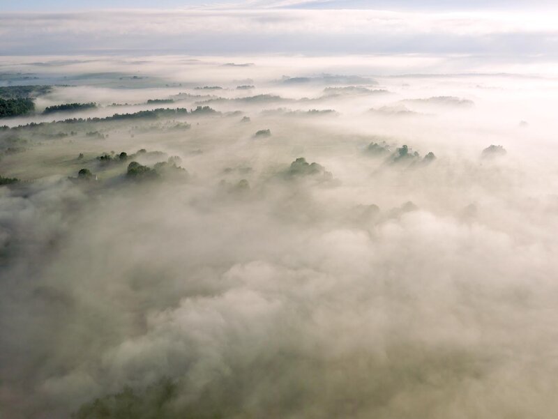 Fog over a forested landscape
