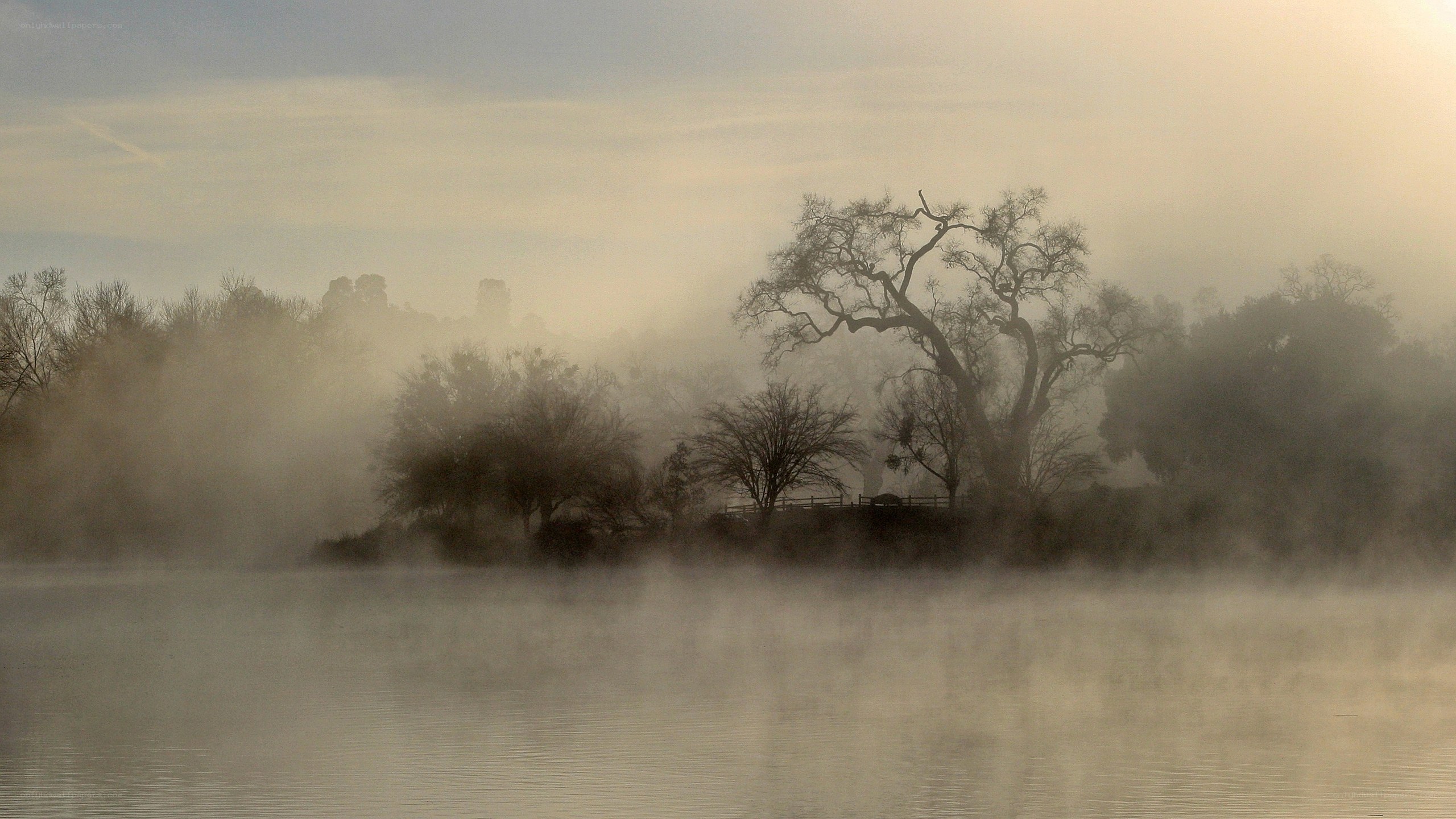 Fog over a misty lake