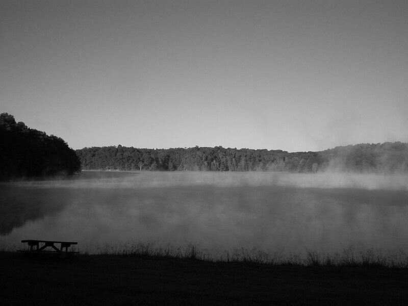 Fog over a quiet lake