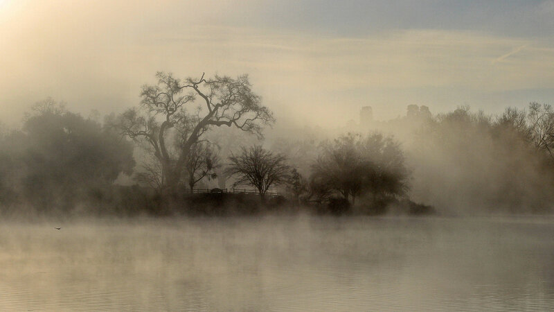 Fog over a quiet lake
